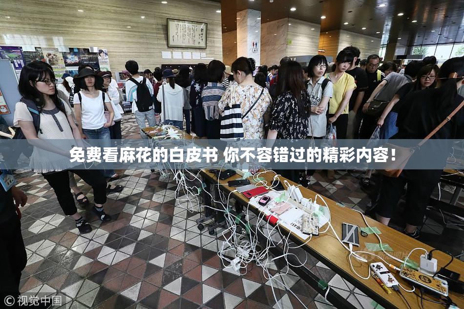免费看麻花的白皮书 你不容错过的精彩内容！