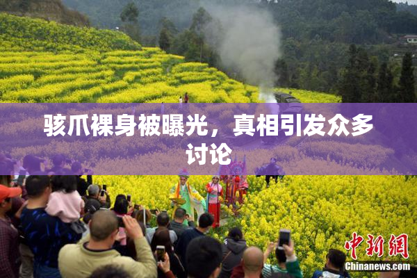 骇爪裸身被曝光，真相引发众多讨论