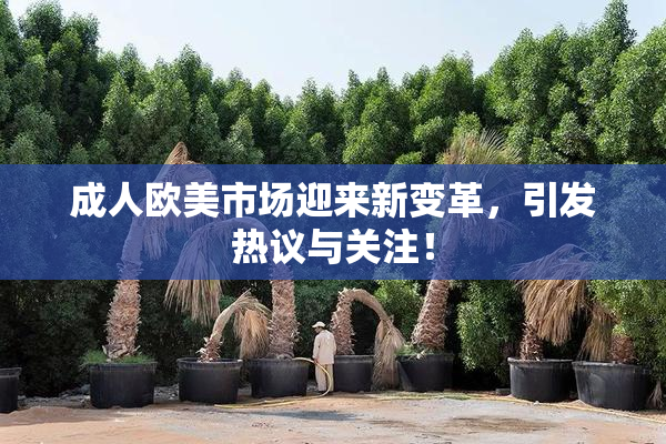 成人欧美市场迎来新变革，引发热议与关注！