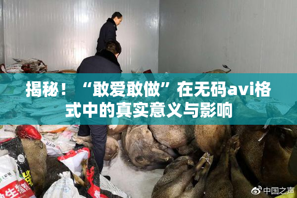 揭秘！“敢爱敢做”在无码avi格式中的真实意义与影响