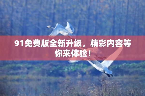 91免费版全新升级，精彩内容等你来体验！