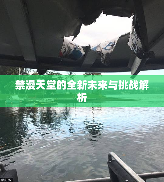 禁漫天堂的全新未来与挑战解析