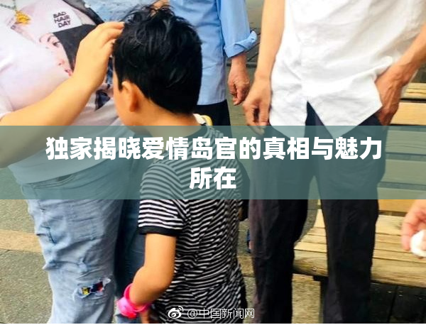 独家揭晓爱情岛官的真相与魅力所在