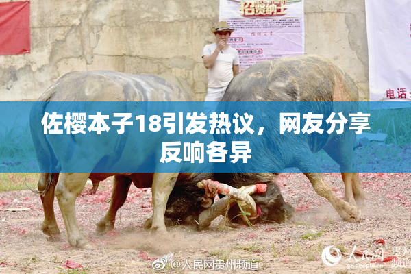 佐樱本子18引发热议，网友分享反响各异