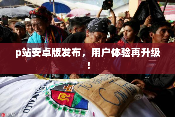 p站安卓版发布，用户体验再升级！