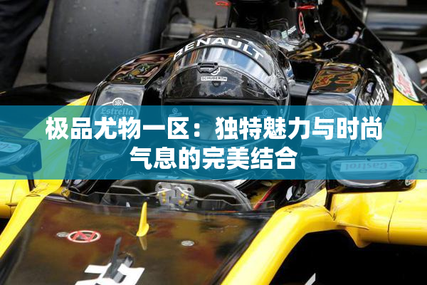 极品尤物一区：独特魅力与时尚气息的完美结合