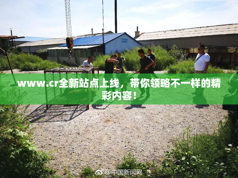 www.cr全新站点上线，带你领略不一样的精彩内容！