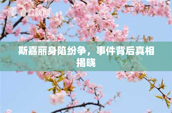 斯嘉丽身陷纷争，事件背后真相揭晓