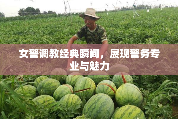 女警调教经典瞬间，展现警务专业与魅力