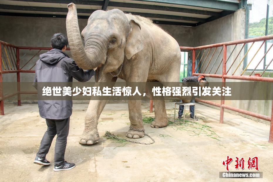 绝世美少妇私生活惊人，性格强烈引发关注