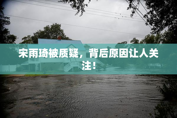 宋雨琦被质疑，背后原因让人关注！