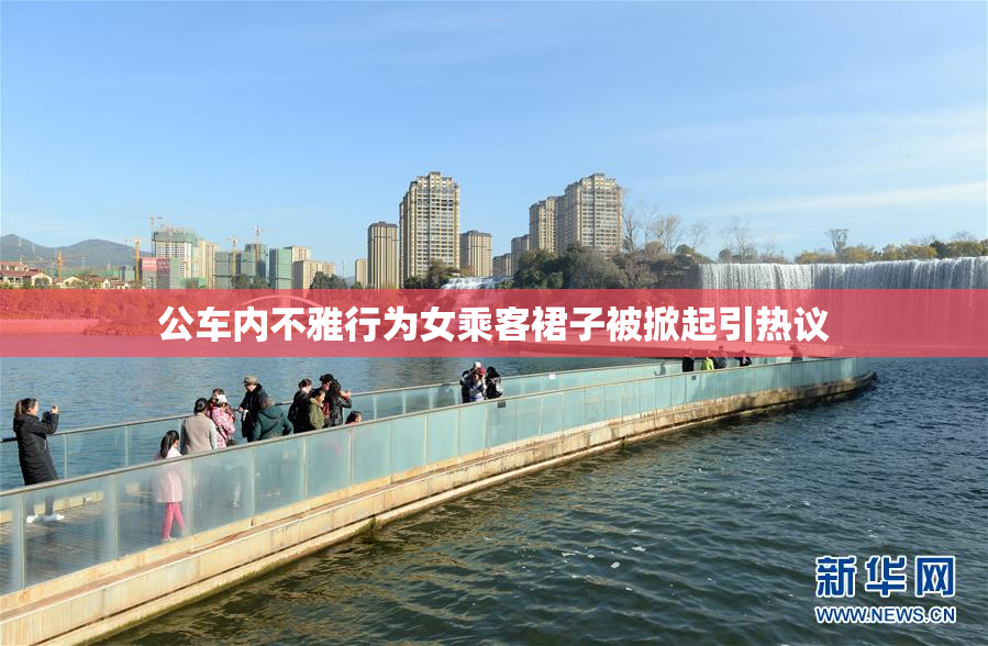 公车内不雅行为女乘客裙子被掀起引热议