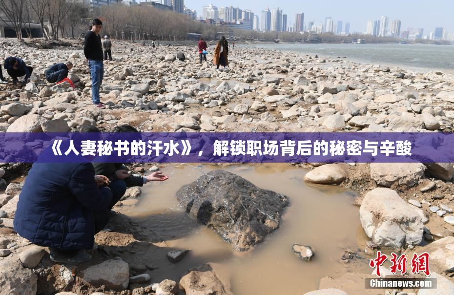 《人妻秘书的汗水》，解锁职场背后的秘密与辛酸