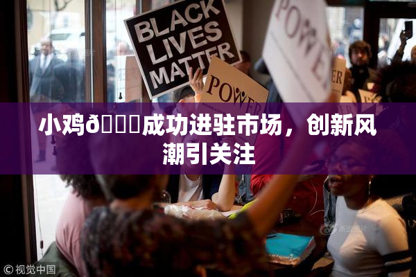 小鸡🐔成功进驻市场，创新风潮引关注