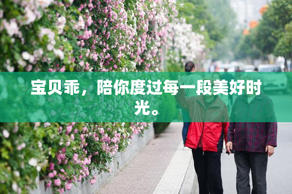 宝贝乖，陪你度过每一段美好时光。