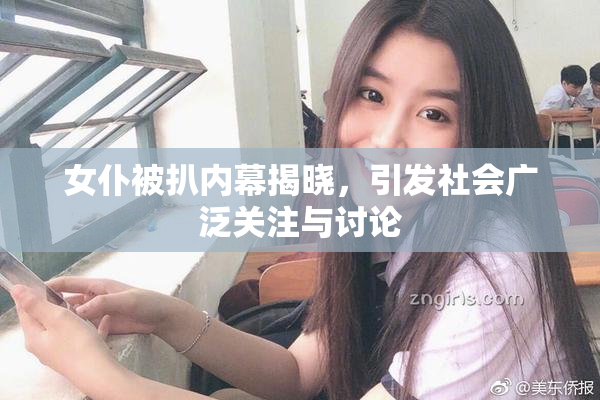 女仆被扒内幕揭晓，引发社会广泛关注与讨论
