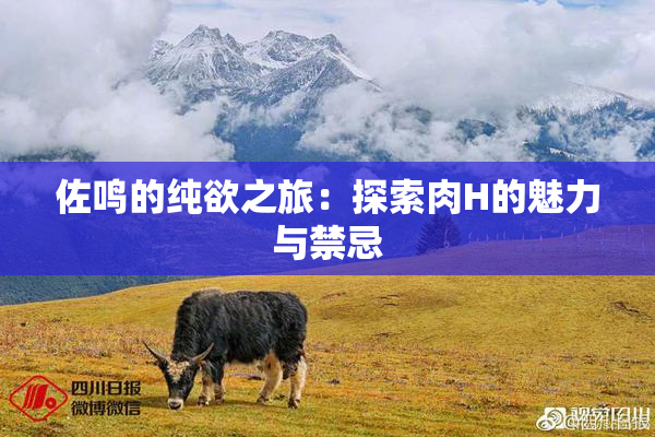 佐鸣的纯欲之旅：探索肉H的魅力与禁忌