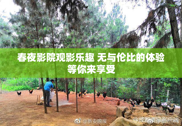 春夜影院观影乐趣 无与伦比的体验等你来享受