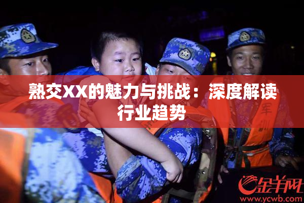 熟交XX的魅力与挑战：深度解读行业趋势