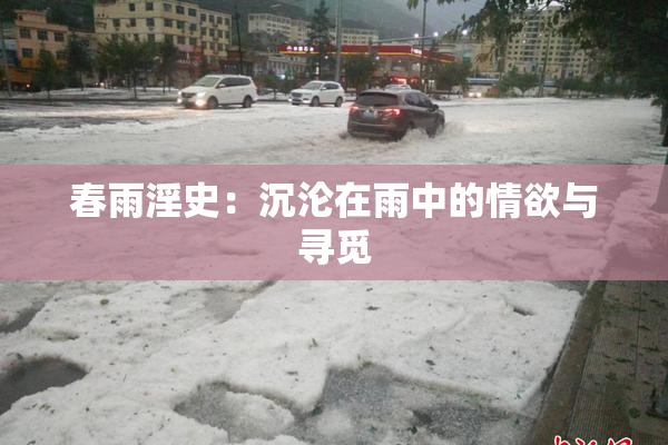 春雨淫史：沉沦在雨中的情欲与寻觅