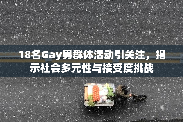 18名Gay男群体活动引关注，揭示社会多元性与接受度挑战