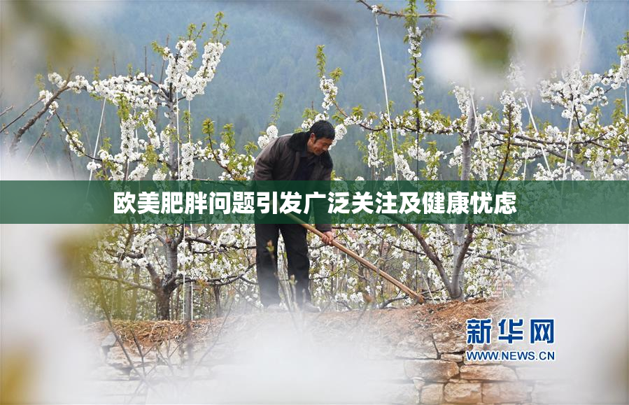 欧美肥胖问题引发广泛关注及健康忧虑