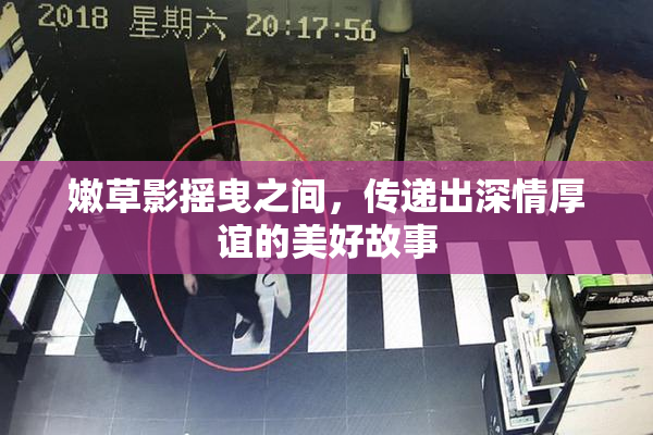 嫩草影摇曳之间，传递出深情厚谊的美好故事