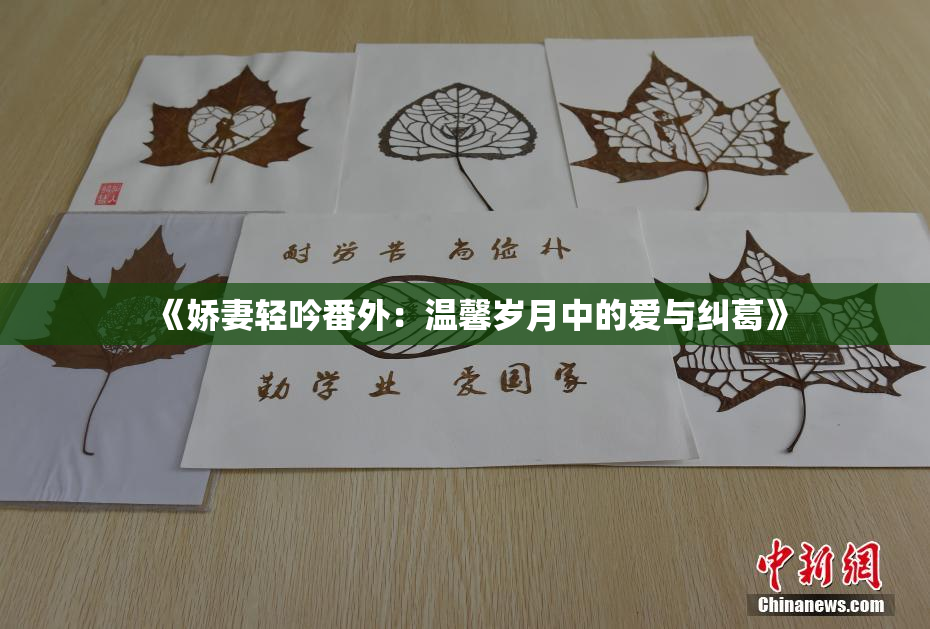 《娇妻轻吟番外：温馨岁月中的爱与纠葛》