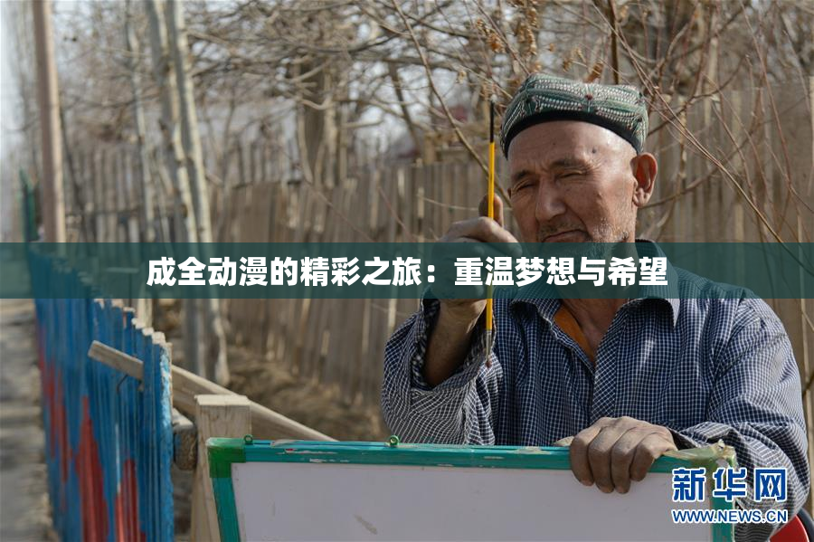 成全动漫的精彩之旅：重温梦想与希望