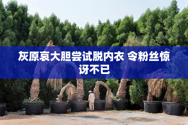 灰原哀大胆尝试脱内衣 令粉丝惊讶不已