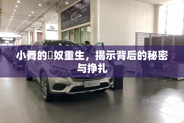 小舞的婬奴重生，揭示背后的秘密与挣扎