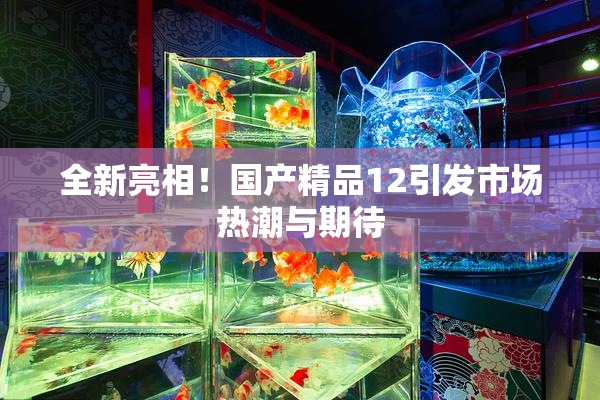 全新亮相！国产精品12引发市场热潮与期待