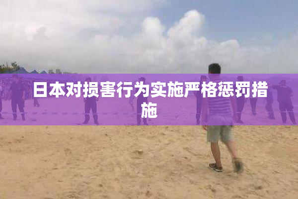 日本对损害行为实施严格惩罚措施