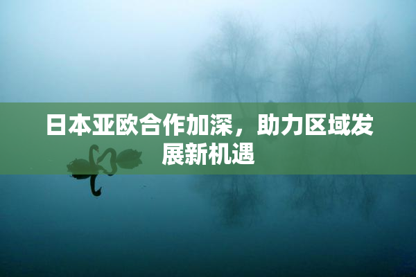 日本亚欧合作加深，助力区域发展新机遇
