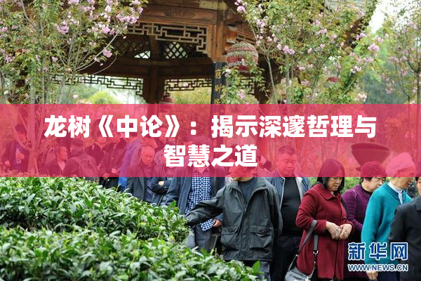 龙树《中论》：揭示深邃哲理与智慧之道