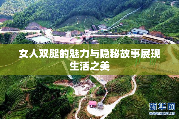 女人双腿的魅力与隐秘故事展现生活之美