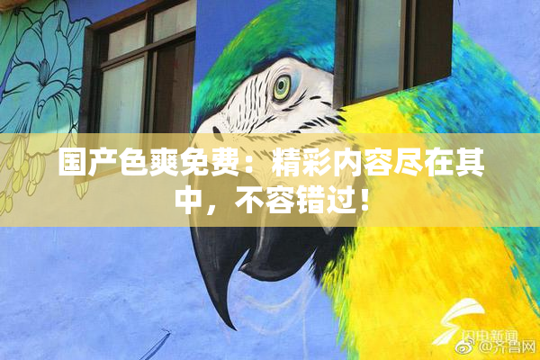国产色爽免费：精彩内容尽在其中，不容错过！