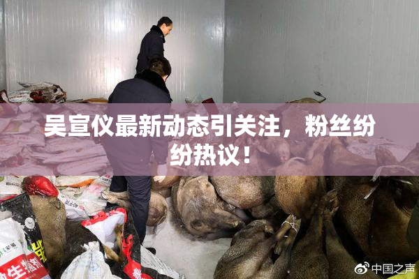 吴宣仪最新动态引关注，粉丝纷纷热议！