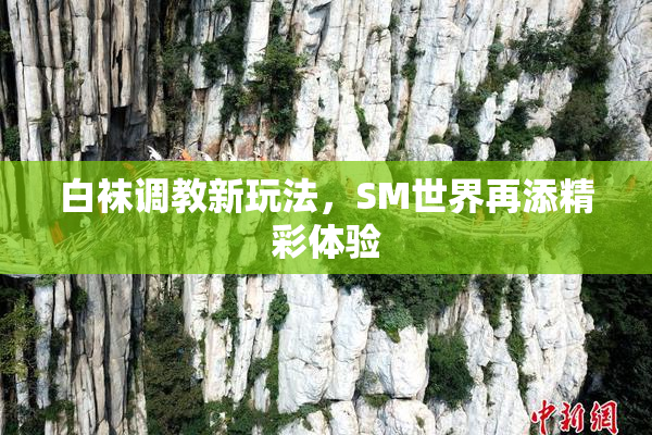 白袜调教新玩法，SM世界再添精彩体验