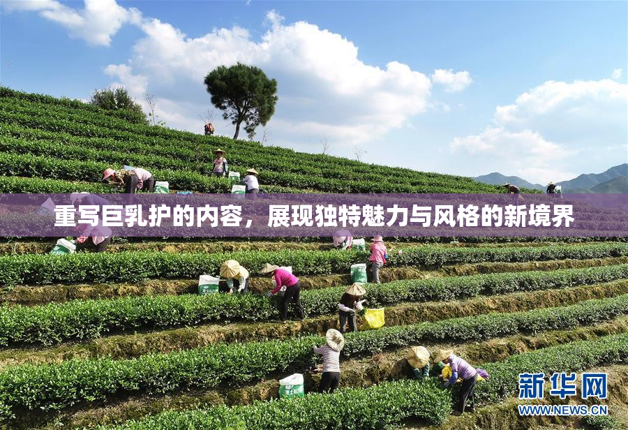 重写巨乳护的内容，展现独特魅力与风格的新境界