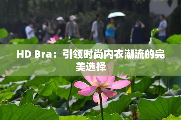 HD Bra：引领时尚内衣潮流的完美选择