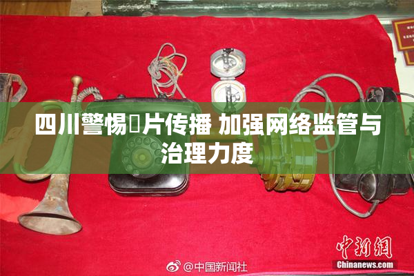 四川警惕婬片传播 加强网络监管与治理力度