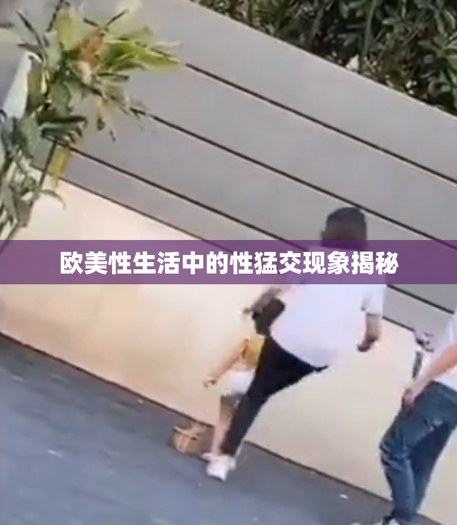 欧美性生活中的性猛交现象揭秘