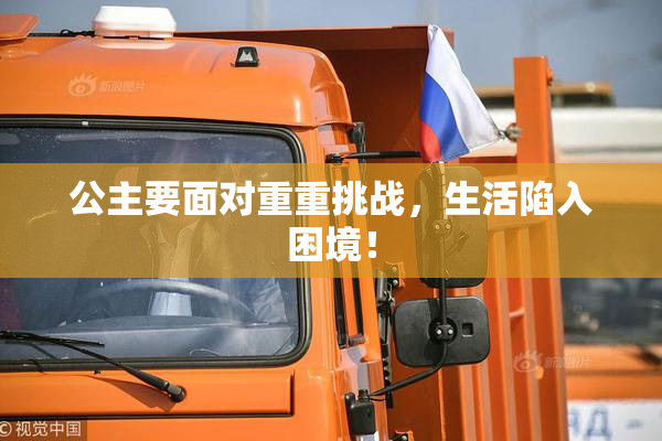 公主要面对重重挑战，生活陷入困境！