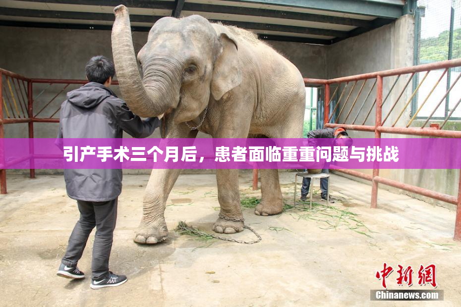 引产手术三个月后，患者面临重重问题与挑战