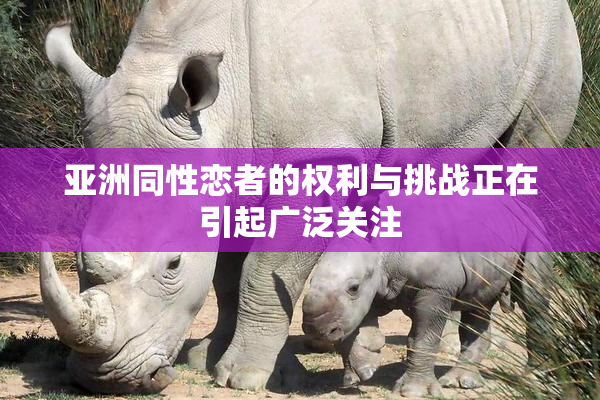 亚洲同性恋者的权利与挑战正在引起广泛关注