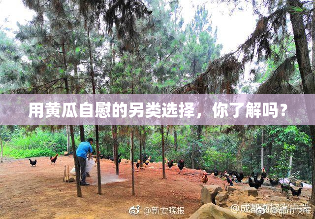 用黄瓜自慰的另类选择，你了解吗？
