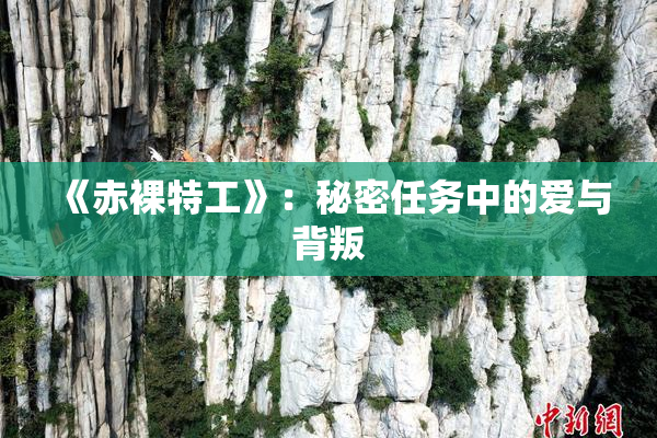 《赤裸特工》：秘密任务中的爱与背叛
