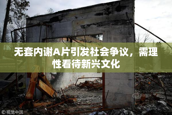 无套内谢A片引发社会争议，需理性看待新兴文化