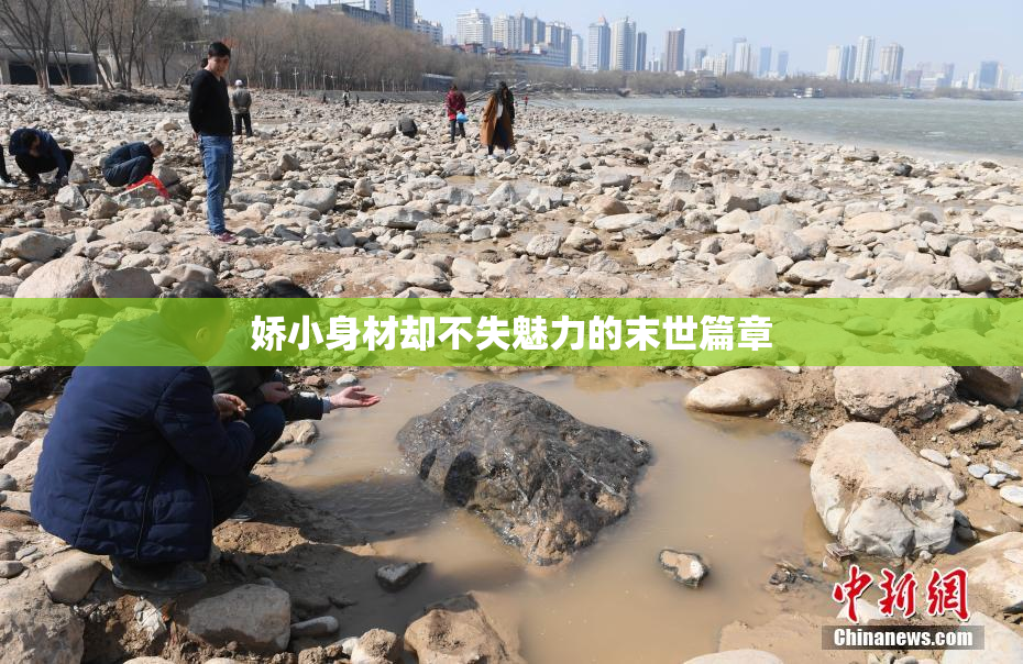 娇小身材却不失魅力的末世篇章